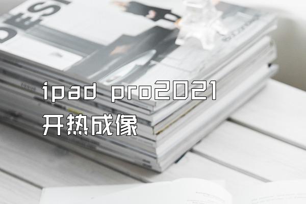 ipad pro2021 开热成像