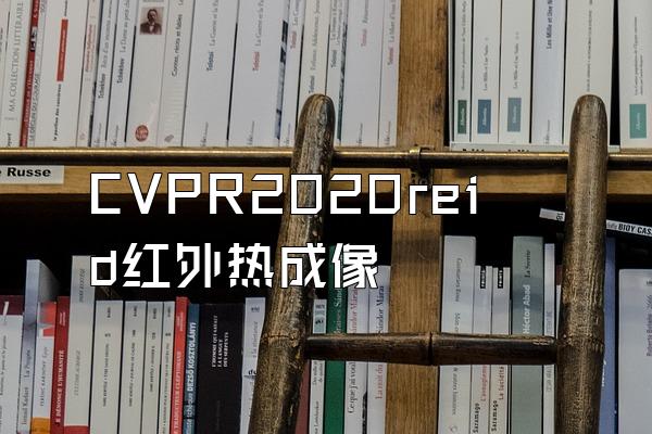 CVPR2020reid红外热成像