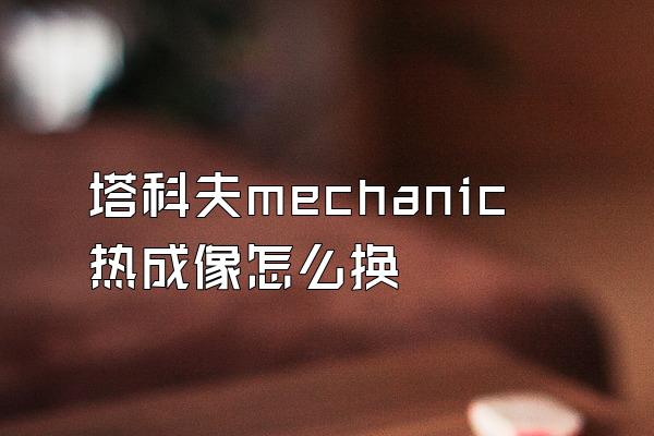 塔科夫mechanic热成像怎么换