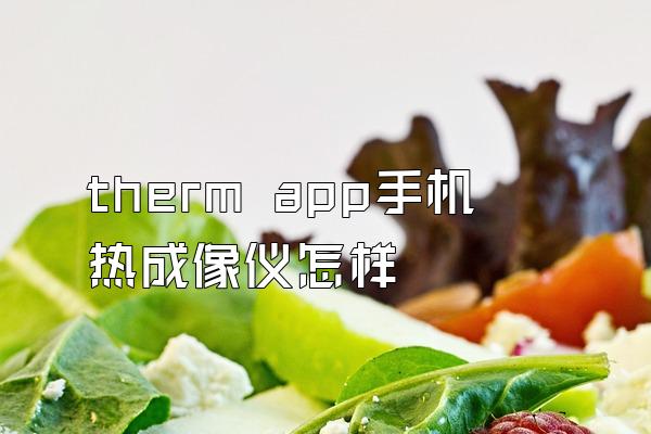 therm app手机热成像仪怎样