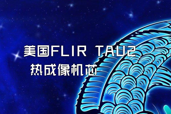 美国FLIR TAU2 热成像机芯