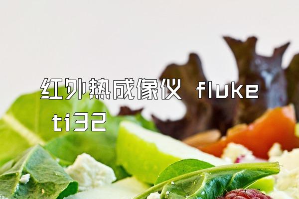 红外热成像仪 fluke ti32