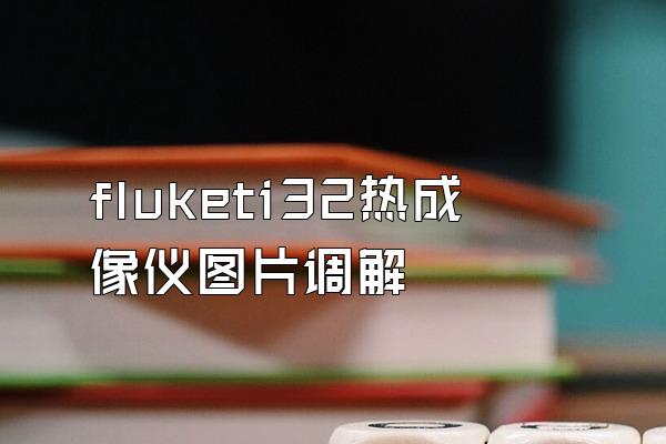 fluketi32热成像仪图片调解