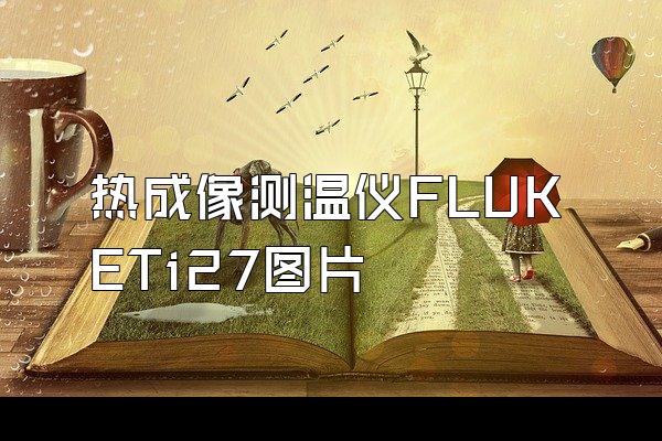 热成像测温仪FLUKETi27图片