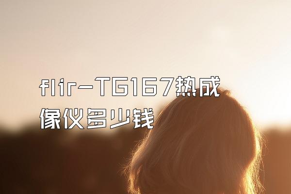 flir-TG167热成像仪多少钱