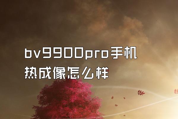 bv9900pro手机热成像怎么样