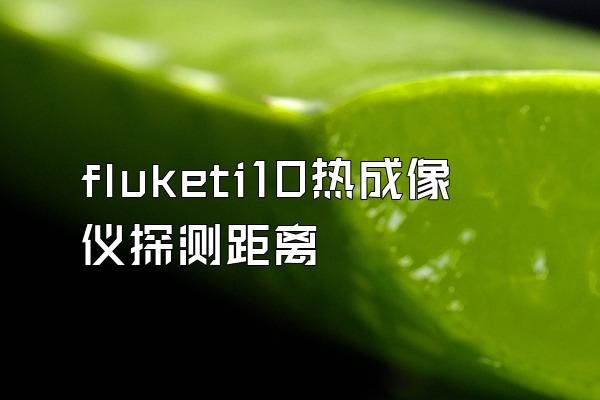 fluketi10热成像仪探测距离