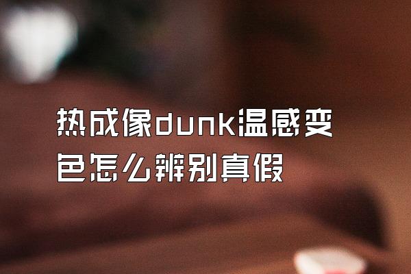 热成像dunk温感变色怎么辨别真假