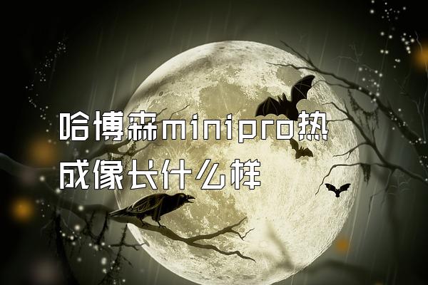 哈博森minipro热成像长什么样