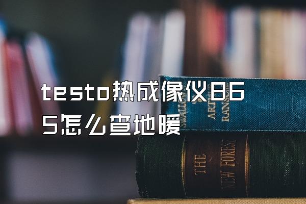 testo热成像仪865怎么查地暖