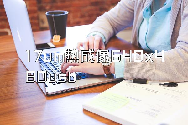 17um热成像640x480usb