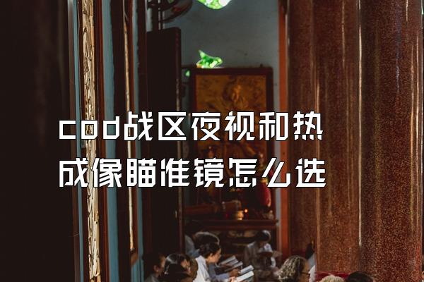 cod战区夜视和热成像瞄准镜怎么选