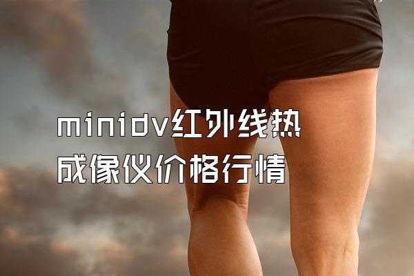 minidv红外线热成像仪价格行情