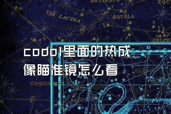 codol里面的热成像瞄准镜怎么看