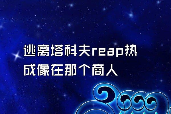 逃离塔科夫reap热成像在那个商人