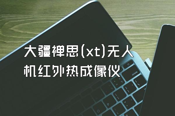 大疆禅思(xt)无人机红外热成像仪