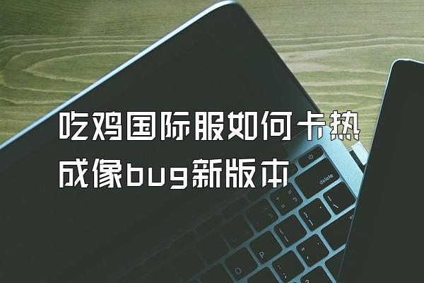 吃鸡国际服如何卡热成像bug新版本