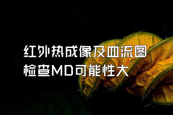 红外热成像及血流图检查MD可能性大