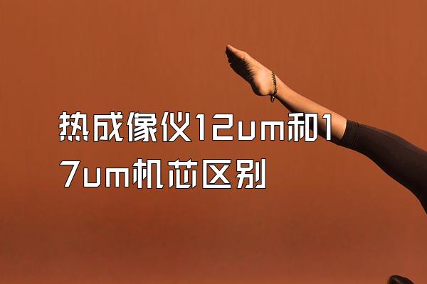 热成像仪12um和17um机芯区别