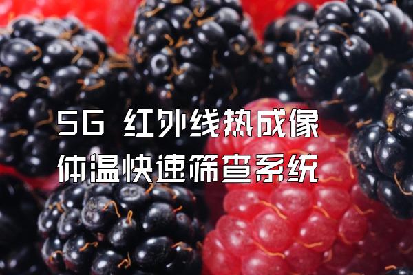 5G 红外线热成像体温快速筛查系统