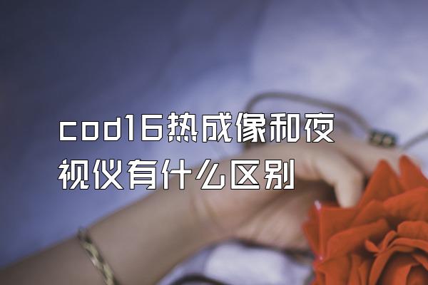 cod16热成像和夜视仪有什么区别