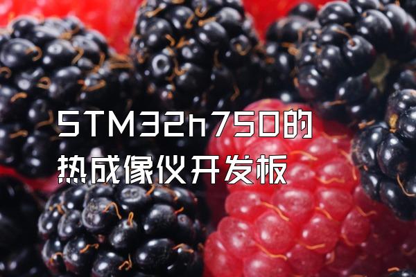 STM32h750的热成像仪开发板