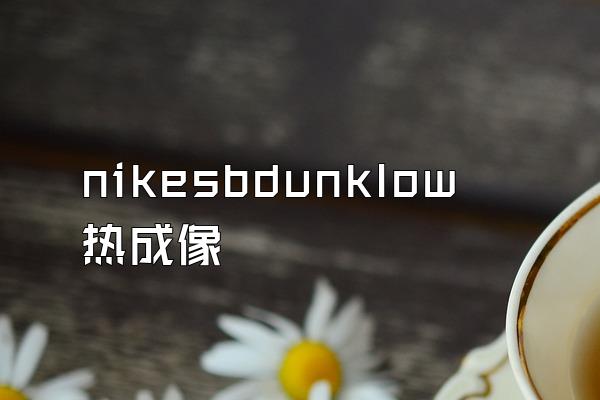 nikesbdunklow热成像