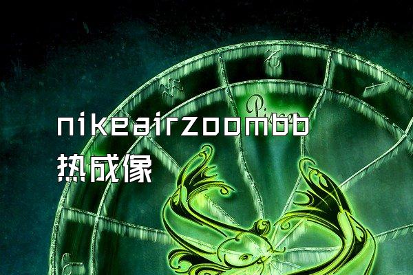 nikeairzoombb热成像