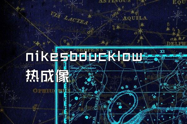 nikesbducklow热成像