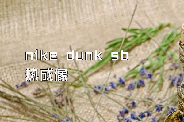 nike dunk sb 热成像