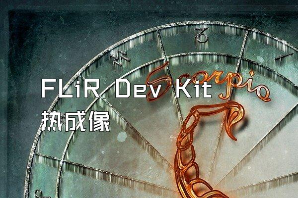 FLiR Dev Kit 热成像