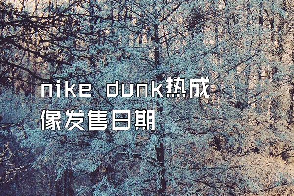 nike dunk热成像发售日期