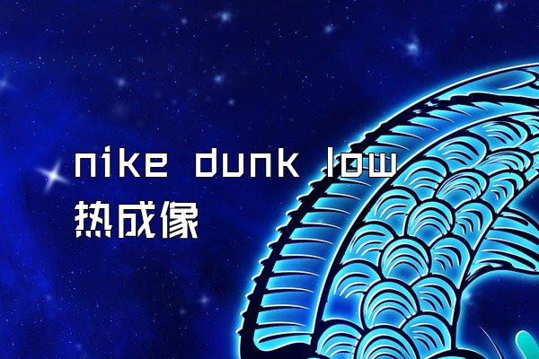 nike dunk low热成像