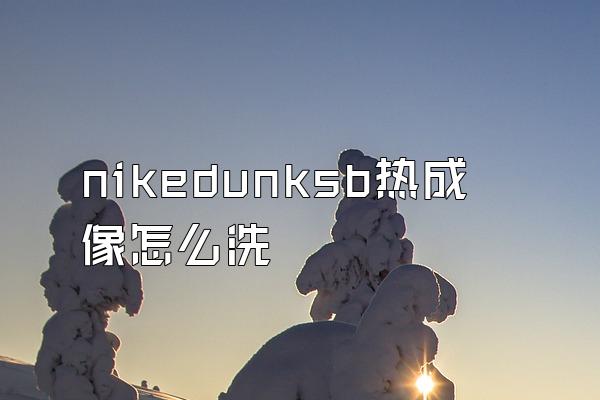 nikedunksb热成像怎么洗