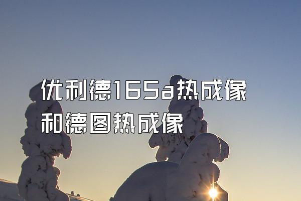 优利德165a热成像和德图热成像