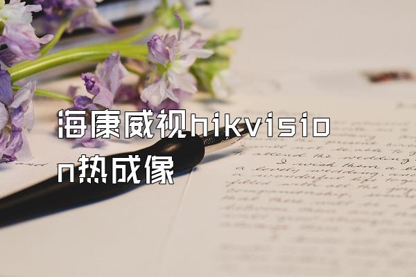 海康威视hikvision热成像