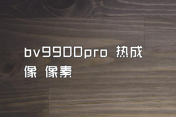 bv9900pro 热成像 像素