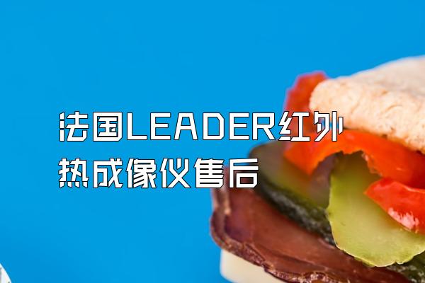 法国LEADER红外热成像仪售后