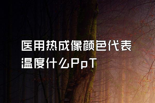 医用热成像颜色代表温度什么PpT