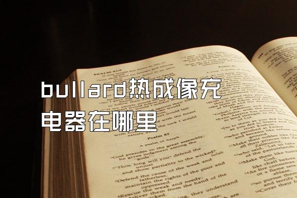 bullard热成像充电器在哪里