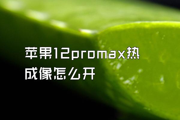 苹果12promax热成像怎么开