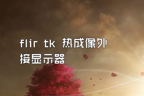 flir tk 热成像外接显示器