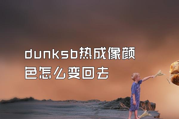 dunksb热成像颜色怎么变回去