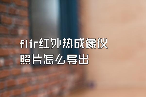 flir红外热成像仪照片怎么导出