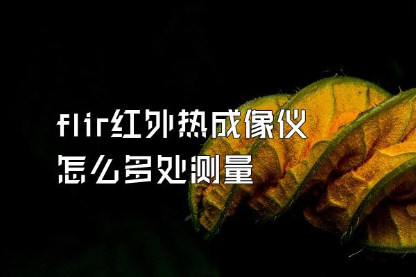 flir红外热成像仪怎么多处测量