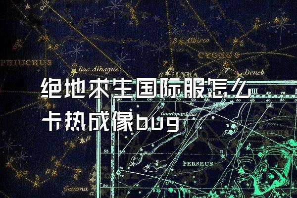 绝地求生国际服怎么卡热成像bug