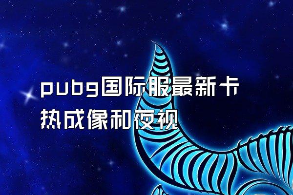 pubg国际服最新卡热成像和夜视