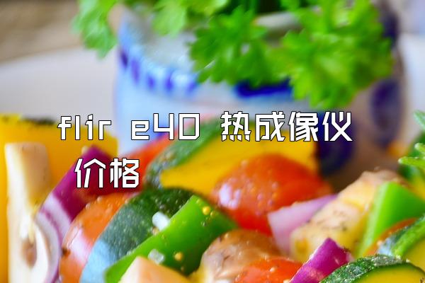 flir e40 热成像仪 价格