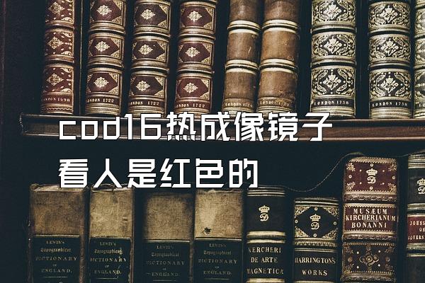 cod16热成像镜子看人是红色的