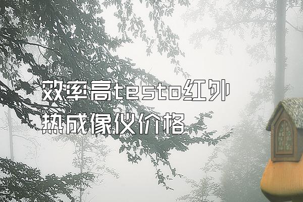 效率高testo红外热成像仪价格